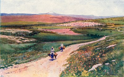 Cana从通往拿撒勒的道路 作者 科温·纳普·林森
