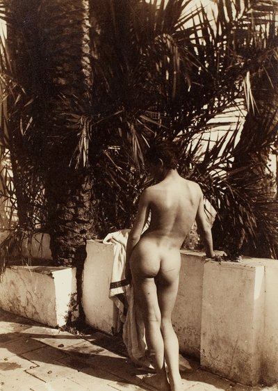 男性裸体，1890年。 作者 Count Wilhelm von Gloeden