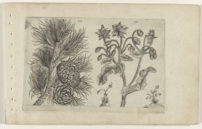 Grove den en bernagie
认识莉莉娅（系列名称） 作者 Crispijn van de Passe (I)（归属于）