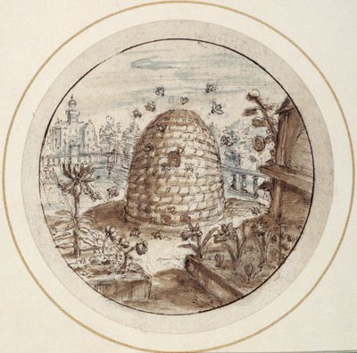 蜂巢，17 世纪初（钢笔和棕色墨水，带有棕色和灰色水洗） 作者 克里斯平一世