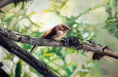 House Wren，和谐歌唱，2010年（纸上的丙烯酸） 作者 克鲁兹·尤拉多·特拉沃索
