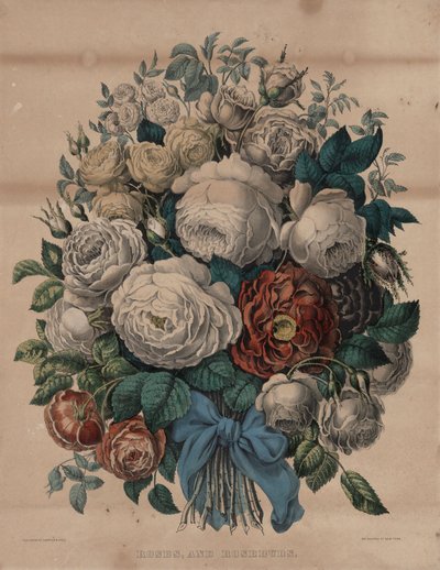 玫瑰和蔷薇花蕾 作者 库里尔和艾夫斯