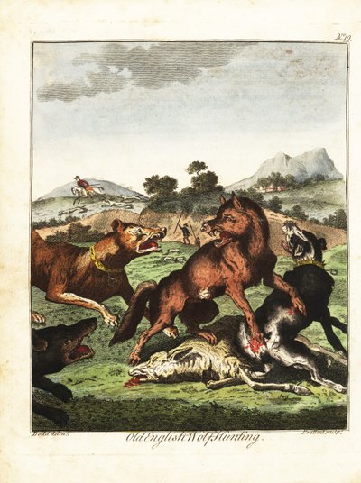 古英国狼狩猎。 1792（刻） 作者 丹尼尔（后）多德