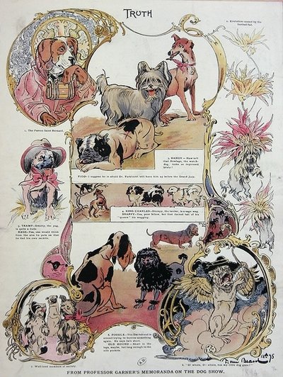 轻松幽默地描写狗展上的狗的故事 作者 丹尼尔卡特胡须