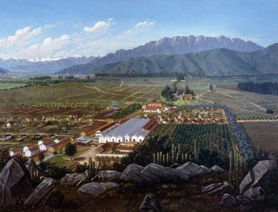 智利Erranzuriz-Panquehue葡萄园，1896年 作者 丹尼尔·埃斯科巴尔