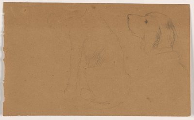 素描，达什（一只猎犬），头部和身体，约 1862 年 作者 丹尼尔·亨廷顿