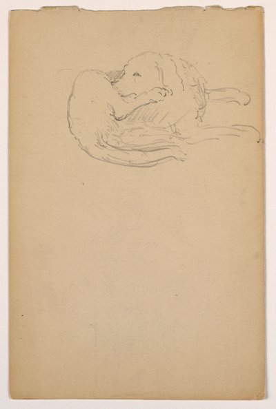 素描，小飞（一只赛特犬），约 1862 年 作者 丹尼尔·亨廷顿