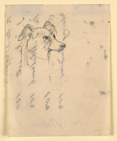 素描，狗头，可能是米洛（一种指针犬），约创作于 1862 年 作者 丹尼尔·亨廷顿