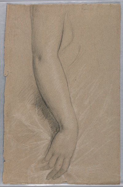 绘图，拉瑟福德-海斯夫人，1880 年 作者 丹尼尔·亨廷顿