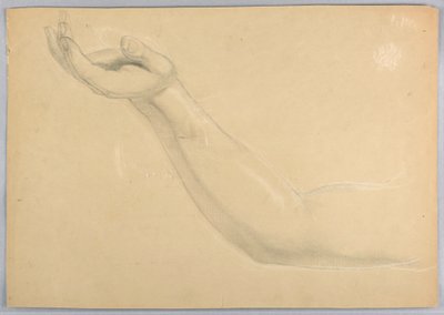素描，"C "复制品的研究，1850 年 作者 丹尼尔·亨廷顿
