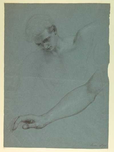 素描，《梅西的梦》研究，1857-58 年 作者 丹尼尔·亨廷顿