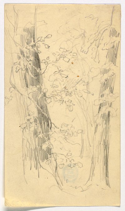 树木素描 作者 丹尼尔·亨廷顿