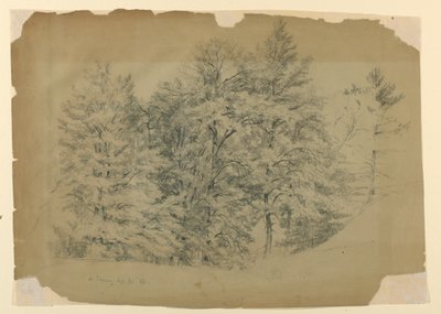 树木研究，新罕布什尔州北康威 作者 丹尼尔·亨廷顿