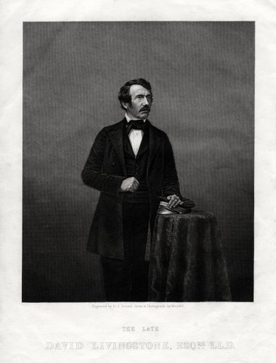 大卫·利文斯通（David Livingstone），苏格兰传教士和非洲探险家，1880年 作者 丹尼尔·约翰·庞德