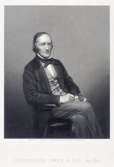英国动物学家Richard Owen爵士，c1860年。 作者 丹尼尔·约翰·庞德