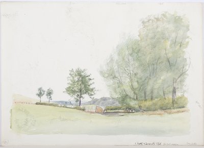 c.1916（铅笔和纸上的wc） 作者 丹尼尔·奥利佛（Daniel Oliver）
