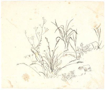草地 作者 丹克瓦特·德雷尔