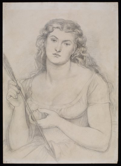 研究“维纳斯维氏菌”，c.1863-64 作者 但丁·加布里埃尔·查尔斯·罗塞蒂