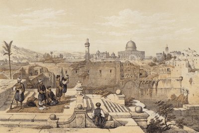 Mosque of Omar (colour litho) 作者 大卫（后）罗伯茨