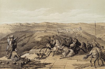 Sebaste, Ancient Samaria (colour litho) 作者 大卫（后）罗伯茨