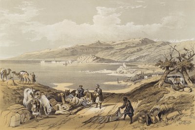 Sidon looking towards Lebanon (colour litho) 作者 大卫（后）罗伯茨
