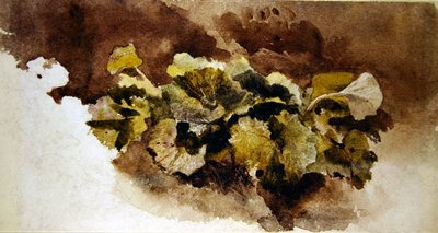 码头叶子（纸上水彩画） 作者 大卫·考克斯