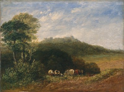 达德利城堡； 1853（布面油画） 作者 大卫·考克斯