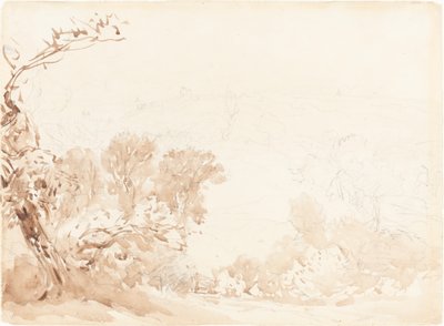 山坡和树木 作者 大卫·考克斯