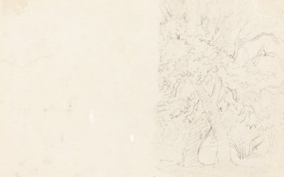 树木[背面] 作者 大卫·考克斯