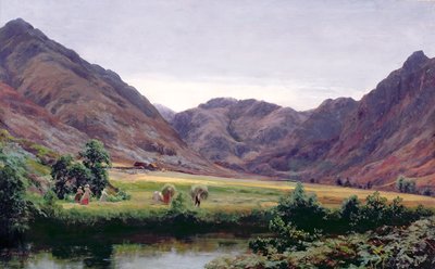 Haydays 作者 大卫·法夸森（David Farquharson）