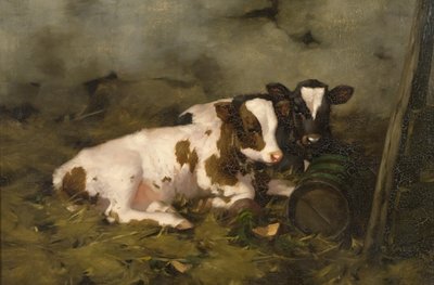 Calves, c.1900 (oil on canvas) 作者 大卫·高尔德