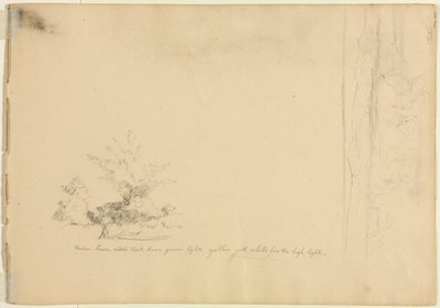 风景和树木研究，c。 1851年。 作者 戴维·约翰逊