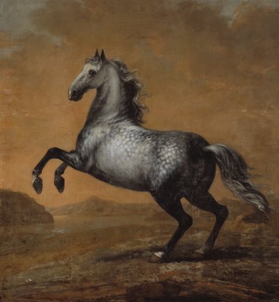 小英国人，卡尔十一世国王（1655-97）的马 作者 大卫·克罗克（DavidKlöcker）荣誉光束