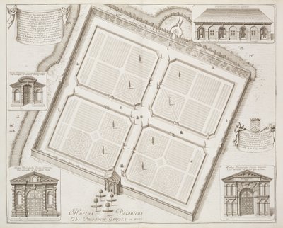 Hortus Botanicus，The Physick Garden，Oxon，来自&39;Oxonia Illustrata&39;，1675年出版 作者 大卫·洛根（David Loggan）