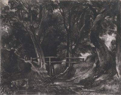 A Dell, Helmingham Park, Suffolk, 1830. 作者 大卫卢卡斯
