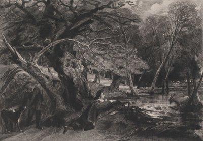 雅克和受伤的雄鹿 莎士比亚，《如意》，第二幕，第一场，1830年。 作者 大卫卢卡斯