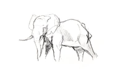 牛象》，2021 年（纸上蜡笔画） 作者 大卫·迈耶