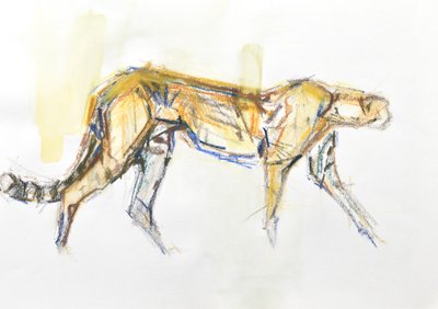 猎豹，2020 年（纸上蜡笔和水彩画） 作者 大卫·迈耶