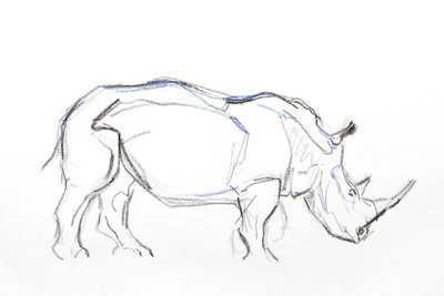 白犀牛》，2021 年（纸上蜡笔和水彩画） 作者 大卫·迈耶