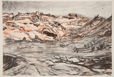 A Quarry new Mouquet Farm，插图来自乡村生活有限公司出版的《西部前线》。 作者 大卫·缪尔黑德·博恩