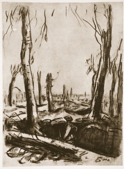 马梅兹森林中被毁坏的战壕，插图选自《西线》，乡村生活有限公司出版 作者 大卫·缪尔黑德·博恩