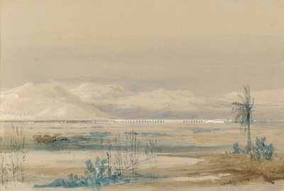 马拉加，1833年3月7日 作者 大卫·罗伯茨