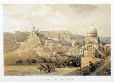 1849 年伦敦“圣地”中的开罗城堡，Mehemet Ali 宫。 作者 大卫·罗伯茨