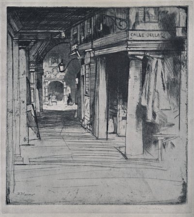 卡勒·德拉·唐娜（Calle Della Donna），c1900年，1925年。 作者 戴维·杨·卡梅伦