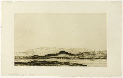 Dinnet Moor 作者 戴维·杨·卡梅伦