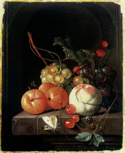17世纪的水果静物 作者 David de II Heem
