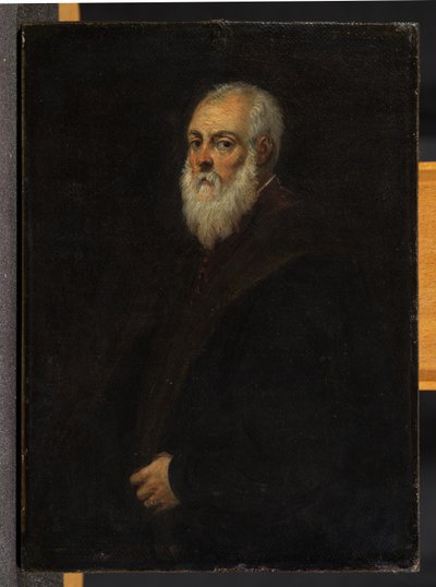 大胡子男人的肖像，雅科波·丁托列托之后 作者 大卫·特尼尔斯（David Teniers）