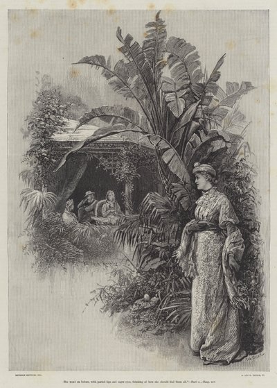他们是由Walter Besant和James Rice结婚的 作者 戴维森·诺尔斯