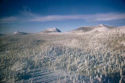 西伯利亚冬季景观：沼泽和森林被白雪覆盖

 作者 康格院长