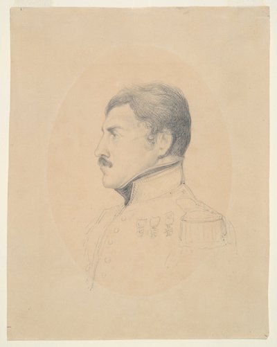 佩利西埃将军肖像 作者 Denis-Auguste-Marie Raffet